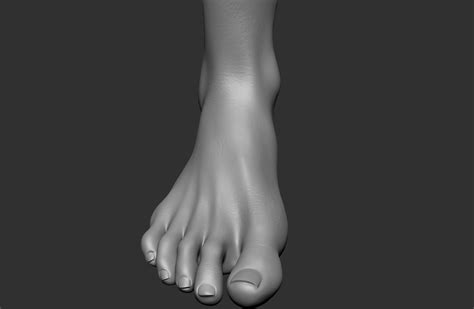 Human Foot1 3d Model 8 Ma Free3d