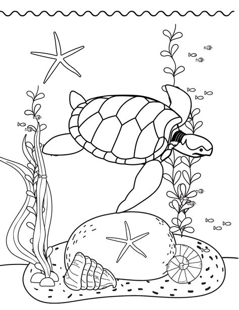 Under The Sea Coloring Pages Sea Life Coloring Ocean Coloring Pages