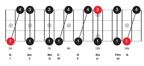 The Beginner Bass Players Guide To Chord Progressions