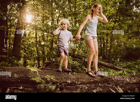 Kleine Jungen Und Mädchen Balancieren Auf Umgestürzten Baum Im Wald Stockfotografie Alamy