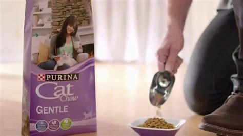 Purina Cat Chow Gentle Tv Spot Adjustments Ispottv