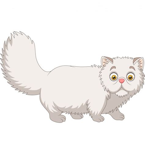 Premium Vector Cartoon Persian Cat On White