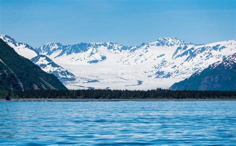 Bear Glacier Entering The Bay Near Seward In Alaska Stock Image Image