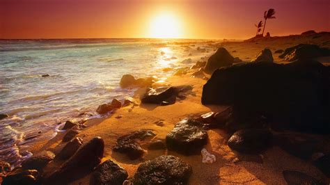 Sunset Landscapes Nature Beach 2560 X 1440