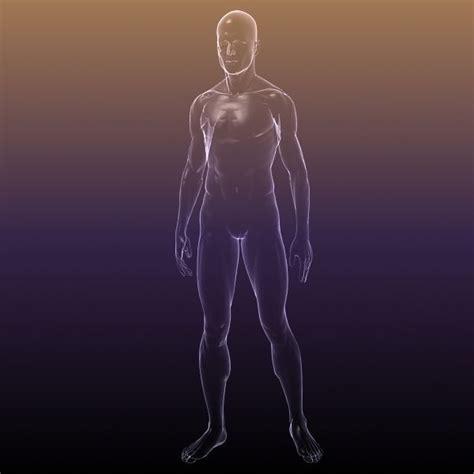 3d Model Human Body Shape Of A Male Vr Ar Low Poly