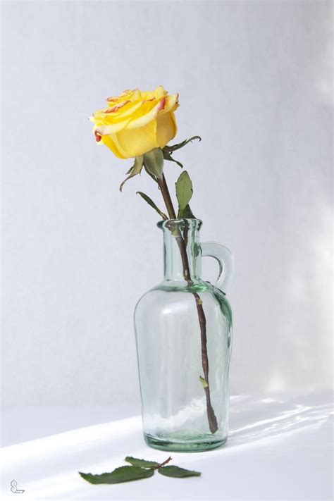 Yellow Rose In An Old Bottle Flower Painting Flower Vase