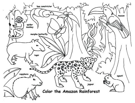 Rainforest coloring pages pagesree printable color page baby jungle sheets. Endangered Animals Coloring Pages at GetColorings.com ...