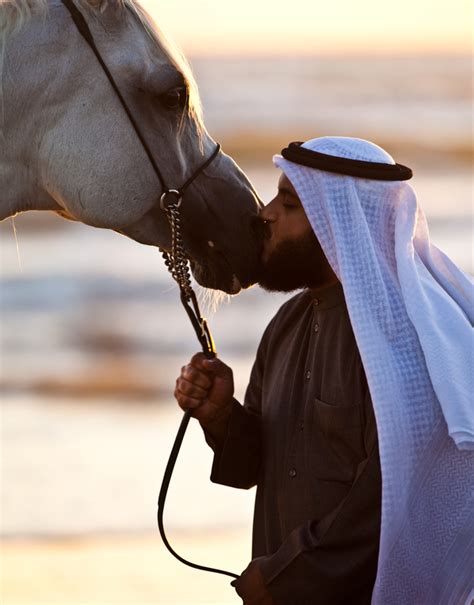 49 thoughts on mishary rashid alafasy. Sheikh Mishary Al Afasy and his Stallion. | Animaux