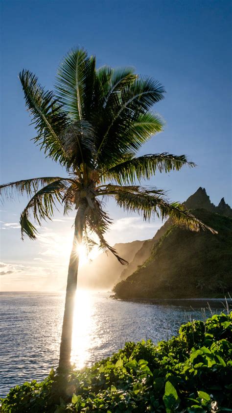 🔥 Download American Samoa National Park Mobile Wallpaper The Greatest
