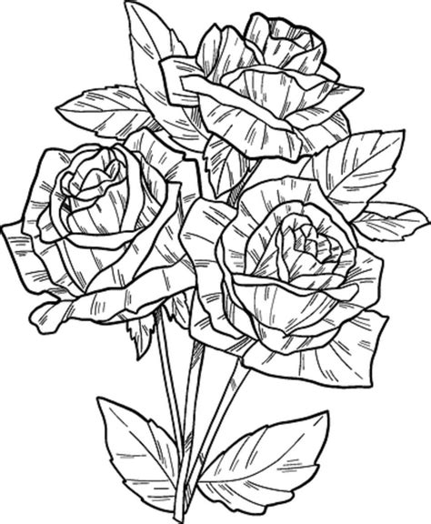 Fise De Colorat Cu Trandafirul Desenat De Mână Descărcați Imprimați