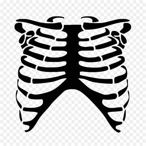 Rib Cage Heart Human Skeleton Anatomy Skeleton Hand Png Download Free Transparent