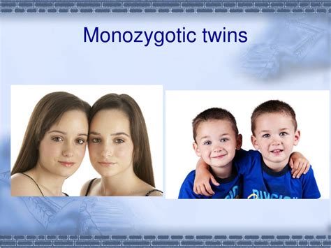 Ppt Twins And Multiple Birth 1twins Monozygotic Twins Dizygotic