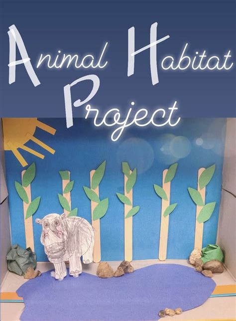 Animal Project Kindergarten Habitats Projects Animal Projects