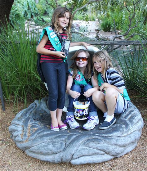 Huntington Beach Girl Scout Troop Earning The Wildlife Badge At