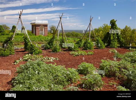 The Pavilion In The Restored Thomas Jefferson Vegetable Garden At