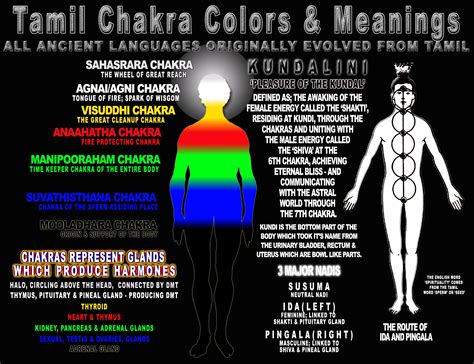 Tamilmanam news 37.878 views3 years ago. Pin by CONSPIRACY VS EXPECTATION on Tamil Chakra Colors ...