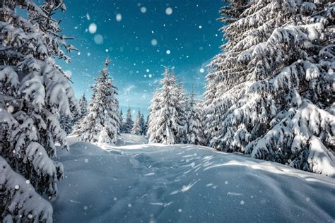 Snowy Landscapes Can Boost Body Appreciation •