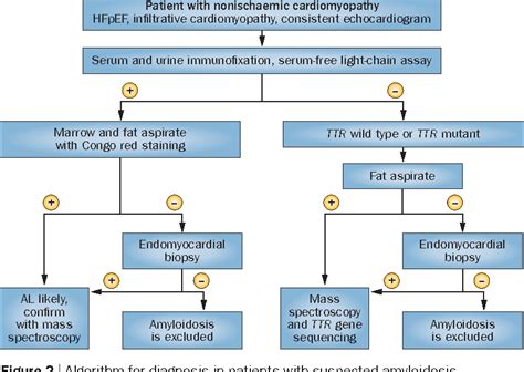 Pathophysiology And Treatment Of Cardiac Amyloidosis Semantic Scholar