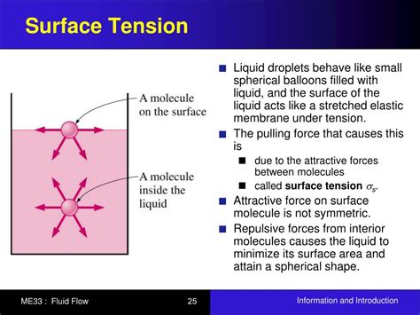 Ppt Motivation For Studying Fluid Mechanics Powerpoint Sexiezpix Web Porn