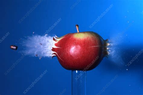 Bullet Hitting An Apple Stock Image C0221993 Science Photo Library