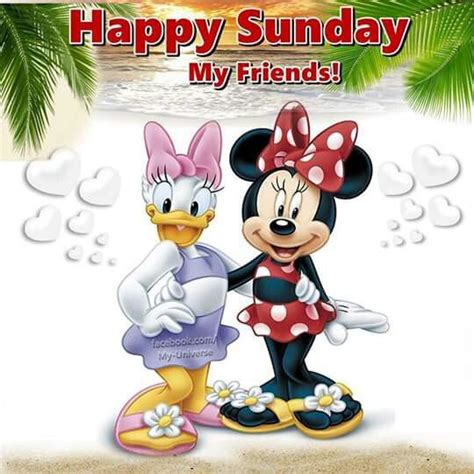 Happy Sunday Hd Pic Sunday Images And Quotes Aya