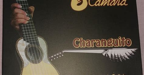 Música éxtasis A Tus Sentidos Alejandro Camara Charanguito Patrimonio De Bolivia
