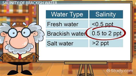 Brackish Water Definition Salinity And Examples Lesson