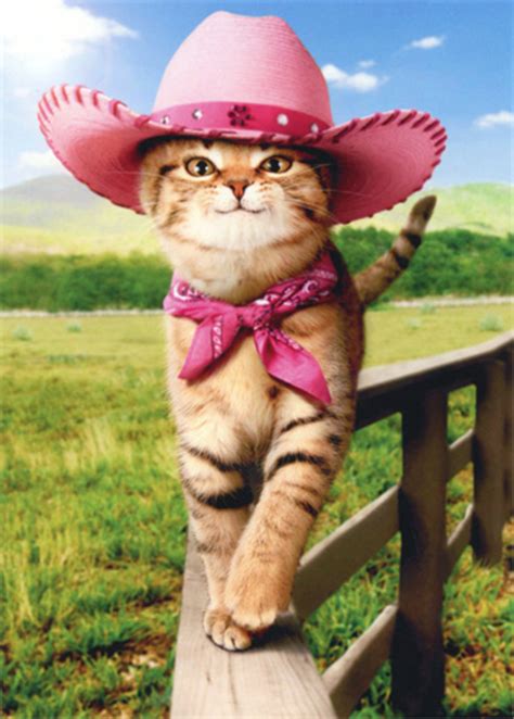 Girly Cat With Cowboy Hat Avanti Funny Friendship Card