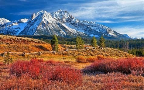Nature Landscape Snowy Peak Forest Grass Mountain Fence Colorful