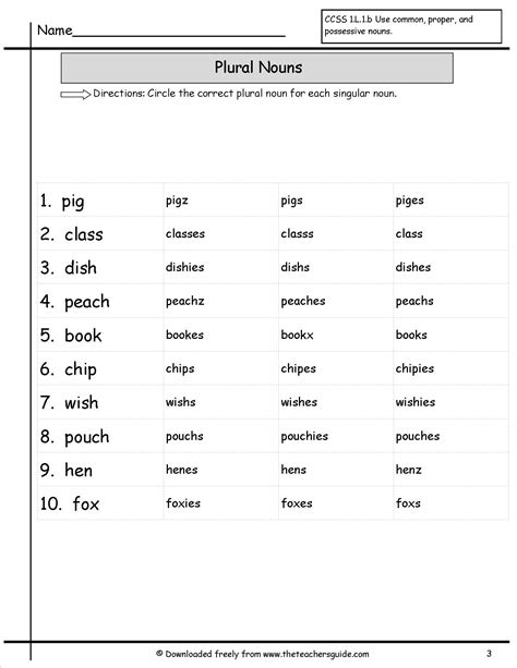 They show who owns something or has something. Worksheets On Singular And Plural Nouns For Grade 1
