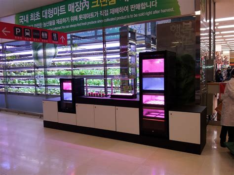 Led grow lights offer many advantages over traditional grow lighting including: Pin by PARUS Led Grow Lighting on Plant Factory System ...