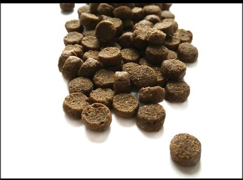 They have an excellent history of producing quality foods, and we're impressed with their track record so far. Sport Dog Food Active Series Cub Buffalo & Oatmeal Formula ...