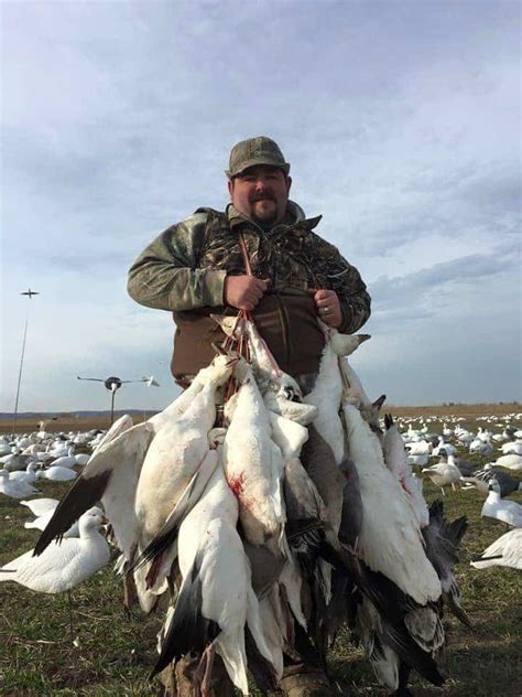 Snow Goose Hunting Guides Illinois Heartland Lodge