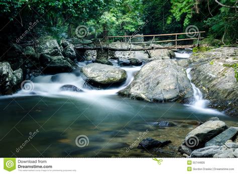 Bamboo Bridge Stock Image Image Of Stream Forest Bamboo 55744605