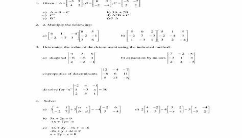 matrix basic worksheet