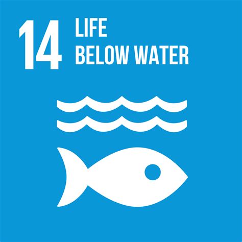 Goal 14 Life Below Water German Federal Association For Sustainability