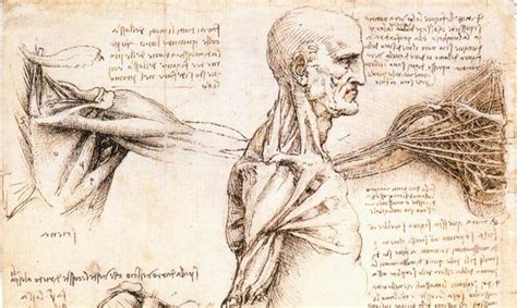 Leonardo Da Vinci Anatomia De Um Génio Blogue Somos Livros Bertrand