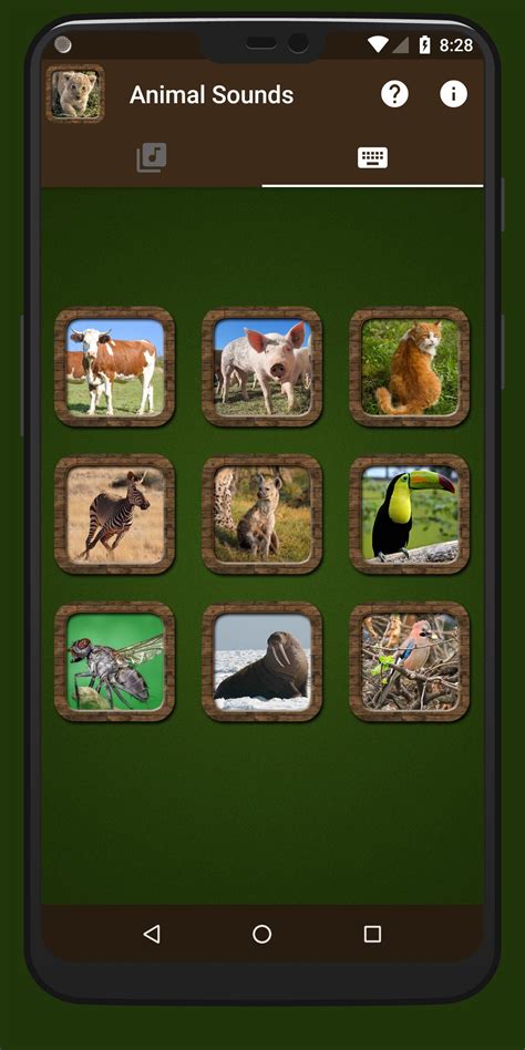 Animal Sounds Apk For Android Download