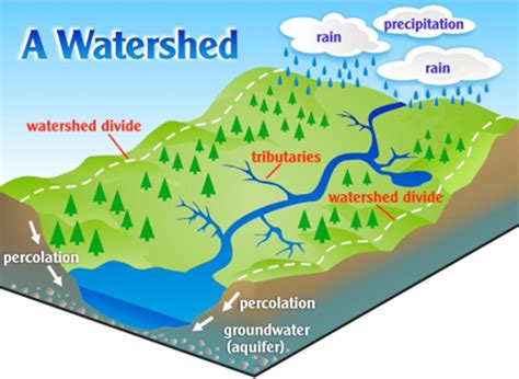 What Is A Watershed Riverside Corona Resource Conservation District