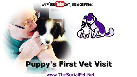 Between puppy training and puppy socialization, there are quite a few new experiences for you and your furry friend. Puppy's First Vet Visit - YouTube