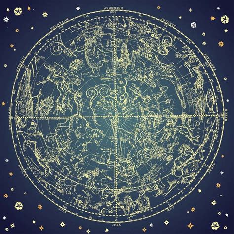 Vintage Zodiac Constellations Wall Mural Murals Your Way Star Map