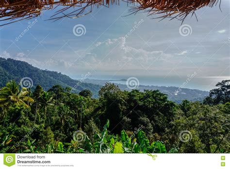 Tropical Sea View From Hill Stock Image Image Of Infinity Ocean