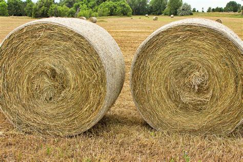 2 Freshly Baled Round Hay Bales Photograph By James Bo Insogna Fine