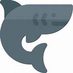 Icons Icon Shark Flaticon
