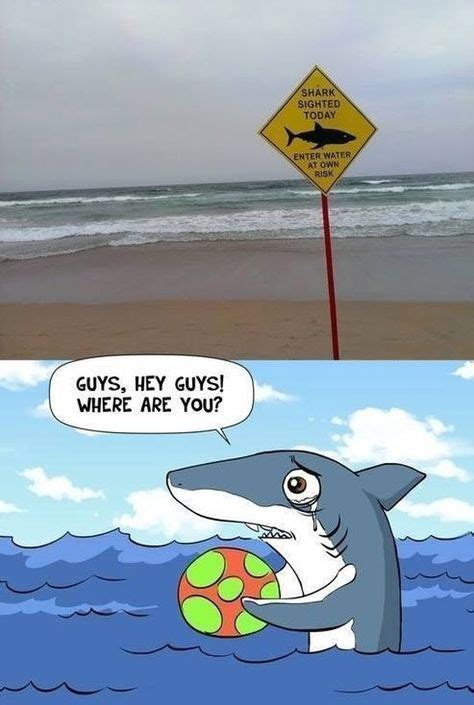 Funny Shark Memes Ocean Memes Ocean Jokes Mermaid Sharks Funny