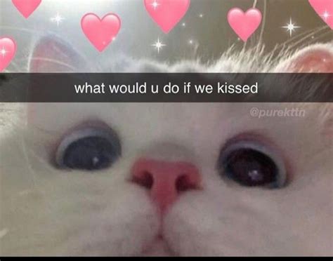If you like snapchat /group chat stickers to use , you might love these ideas. Pin by Ayva on Cute? in 2020 | Cute memes, Cute love memes, Wholesome memes