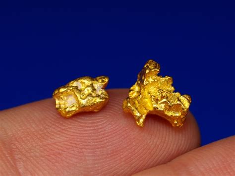 Two Lovely Gold Nuggets From Victoria Australia