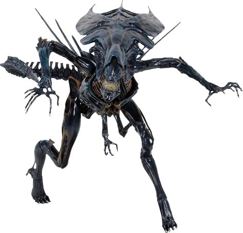 Neca Aliens Xenomorph Queen Ultra Deluxe Actionfigur 15 30 Amazon