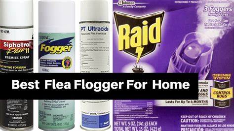 Best Flea Fogger Bombs Reviews For House Youtube
