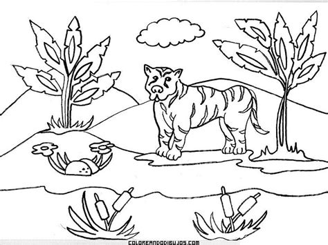 Paisaje de la selva para colorear Dibujos para colorear